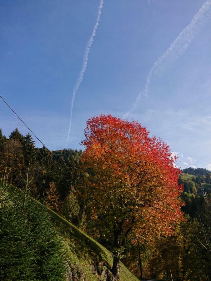 Apart Pfister Aschau Im Zillertal Екстериор снимка